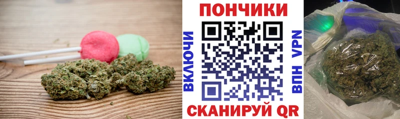 Canna-Cookies марихуана Ковдор