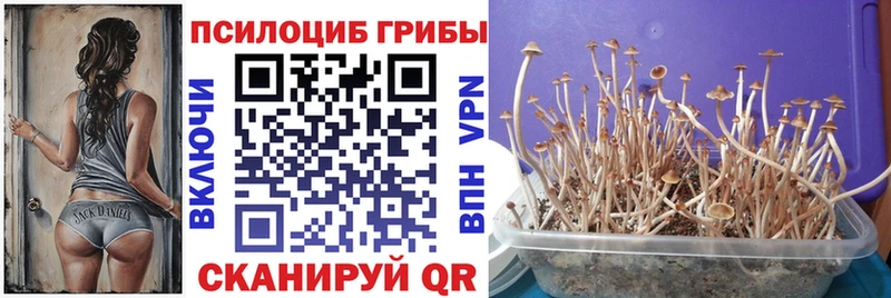 Псилоцибиновые грибы ЛСД  Ковдор 